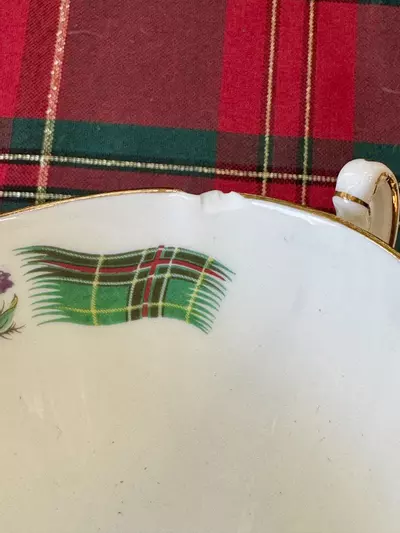 plant/Teacup and saucer (was $14)-2-thumbnail