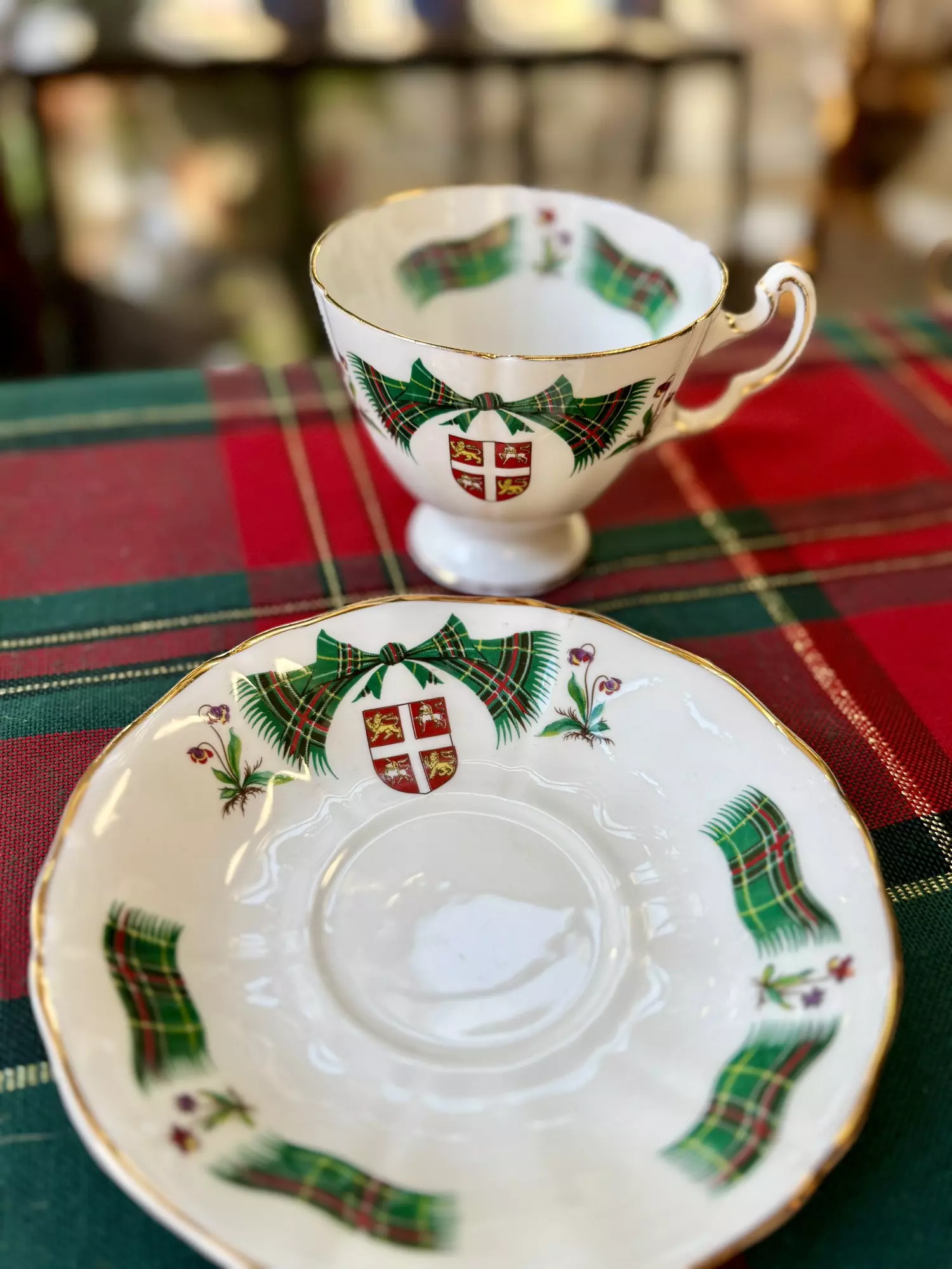 plant/Teacup and saucer (was $14)-1