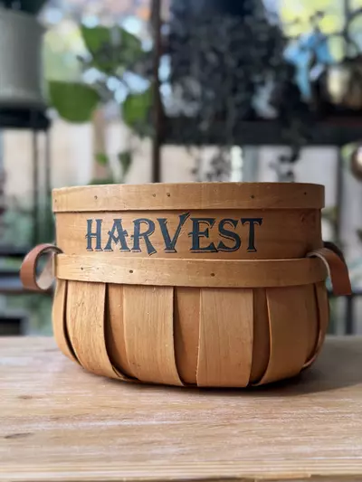 plant/Harvest basket (was $18)-0-thumbnail