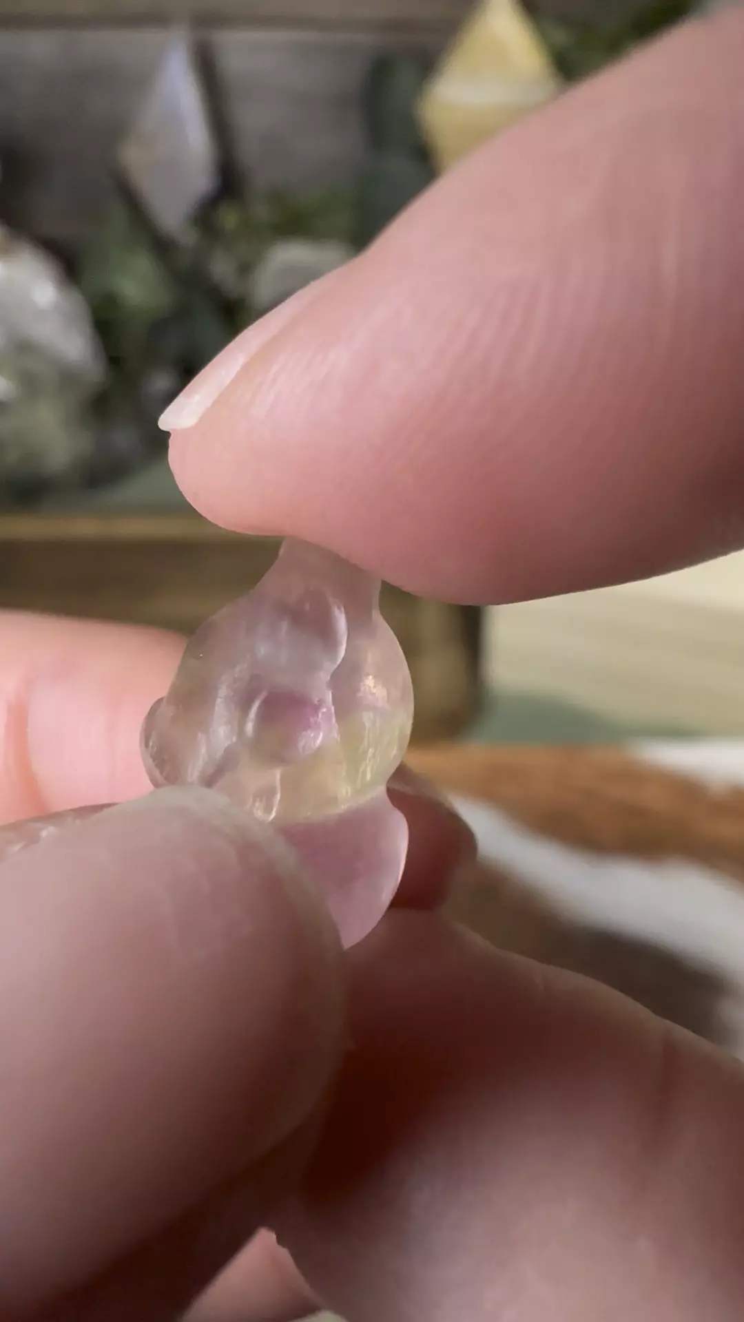plant/Mini Fluorite Lion #19-0