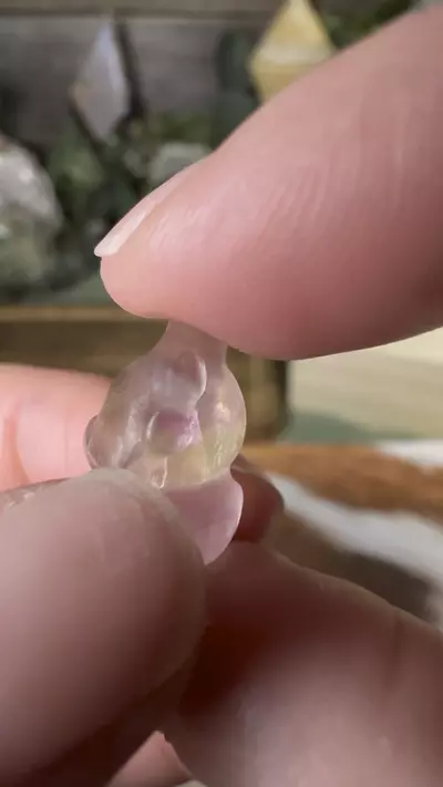 plant/Mini Fluorite Lion #19-0-thumbnail