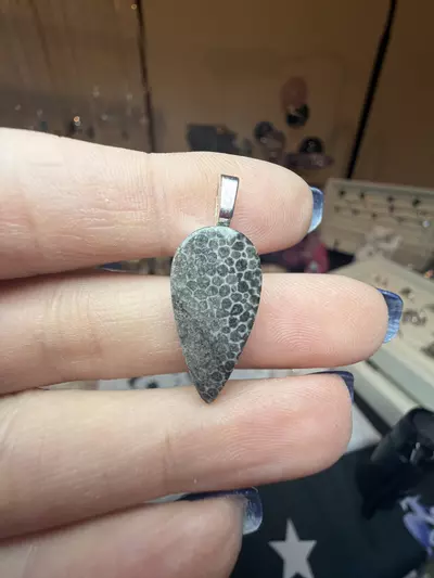 plant/fossilized black coral pendant-0-thumbnail
