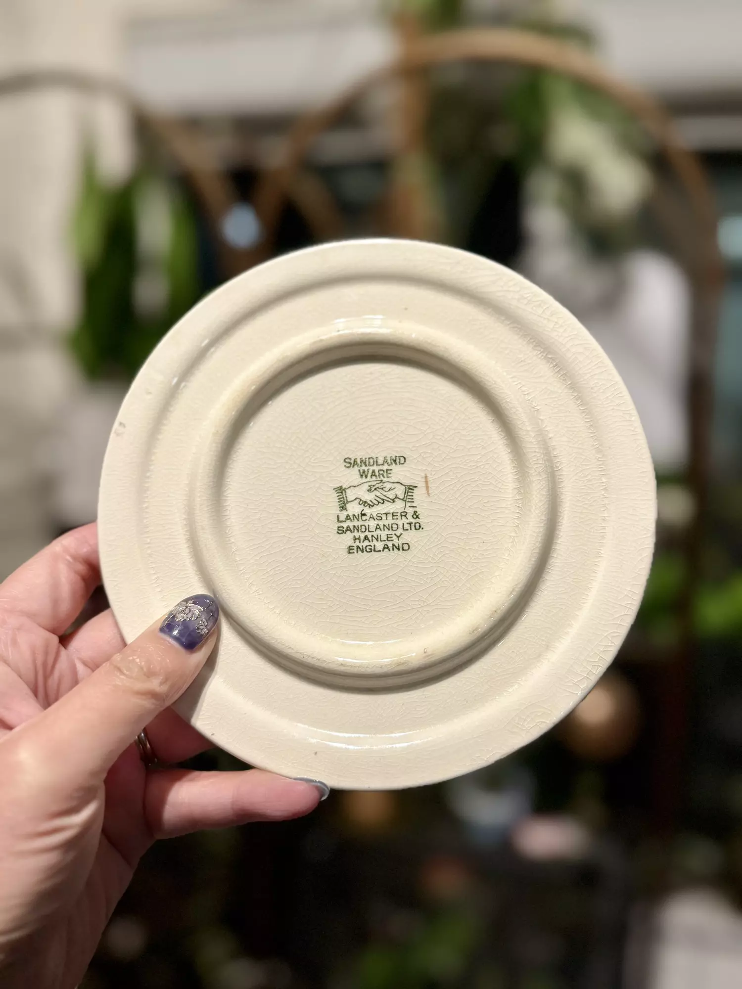 plant/Ceramic trivet (was $15)-1