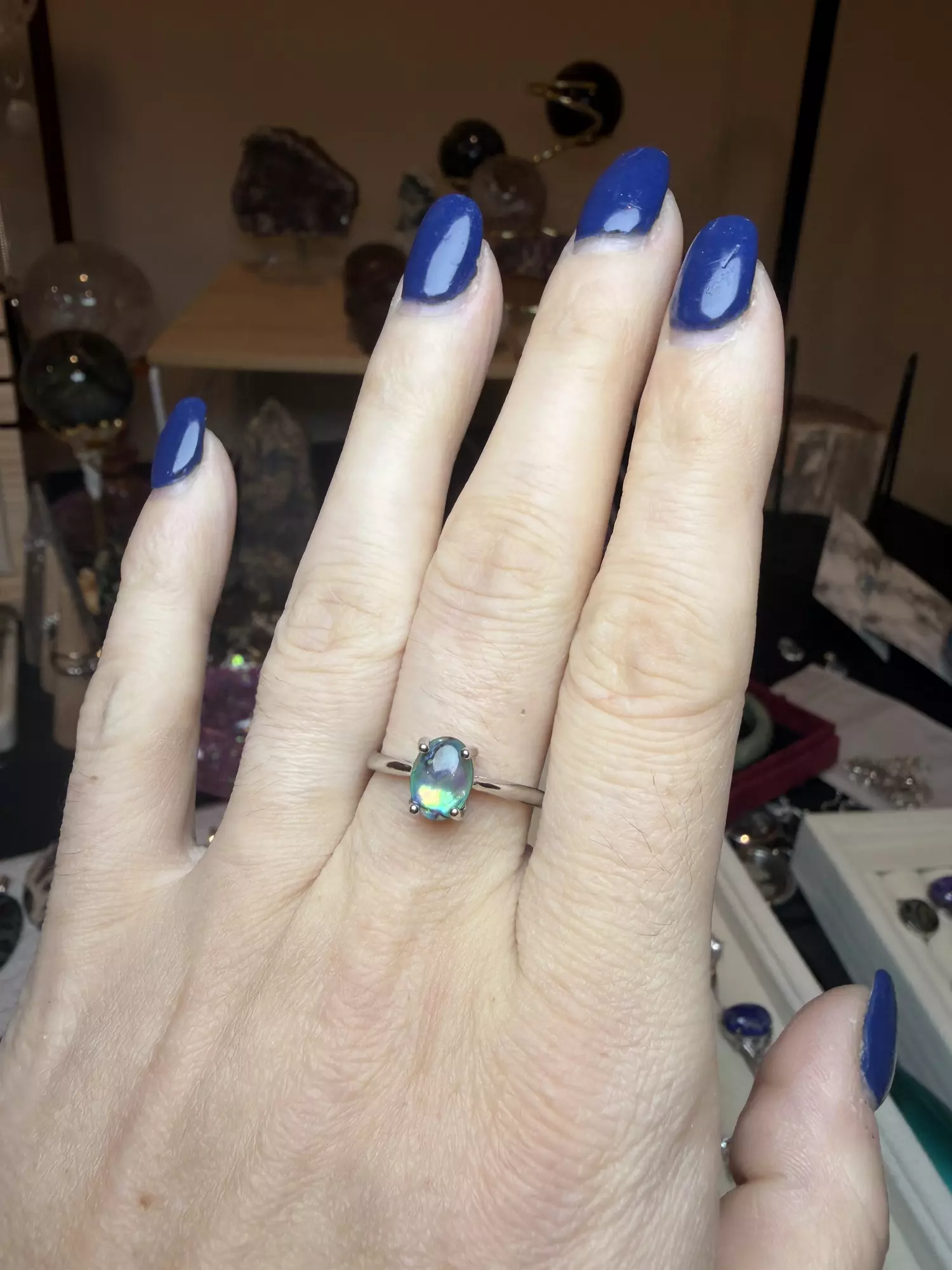 plant/adjustable abalone shell $15-1