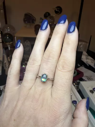 plant/adjustable abalone shell $15-1-thumbnail