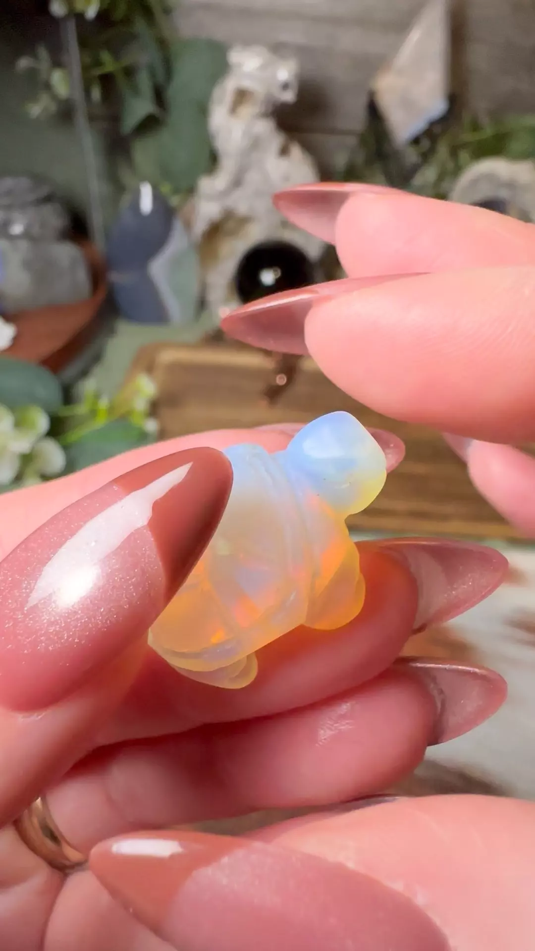 plant/Mini Tortoise Opalite-0