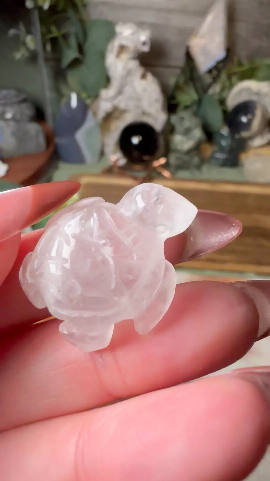 plant/Mini Sea Turtle Clear Quartz -0