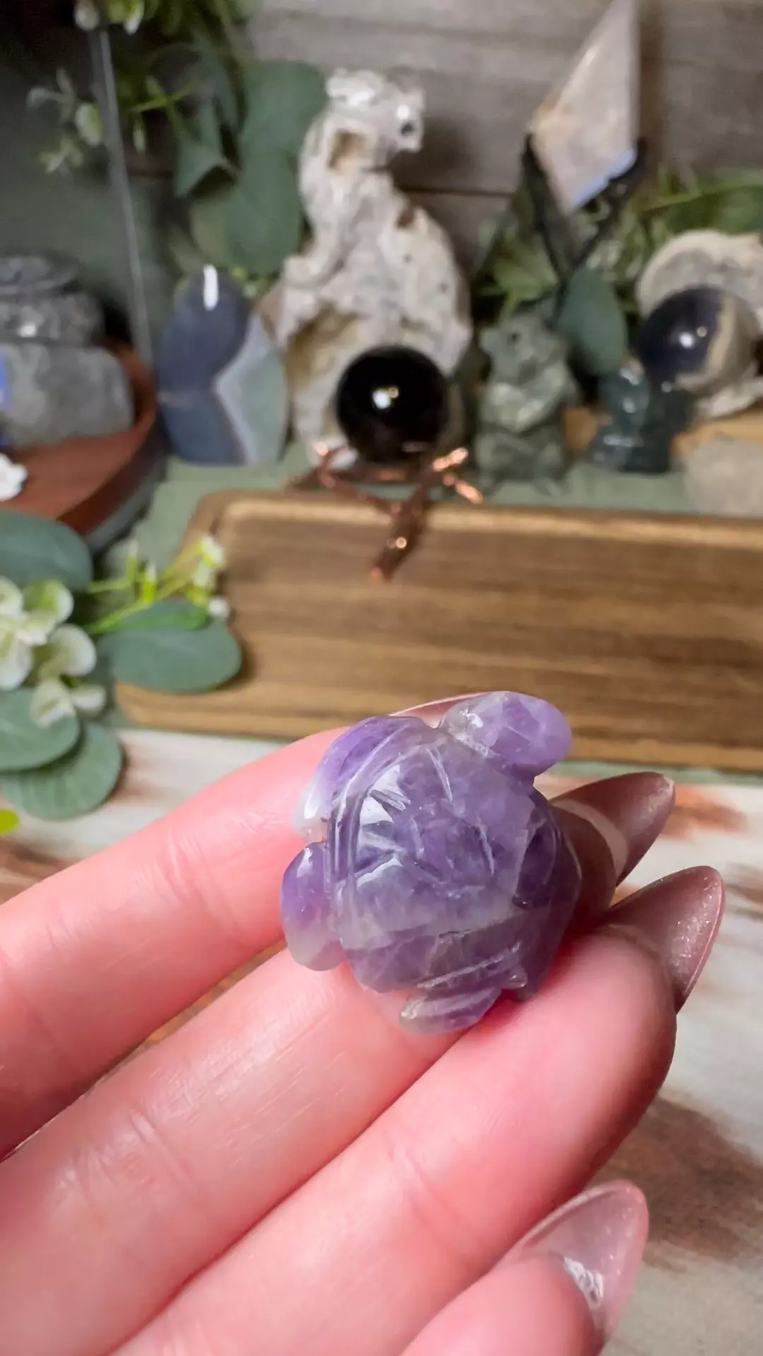 plant/Mini Sea Turtle Amethyst -0