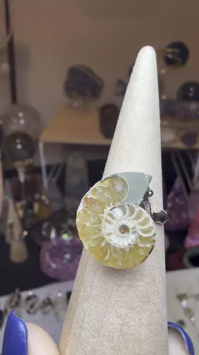 plant/adjustable ammonite ring $18-2-thumbnail