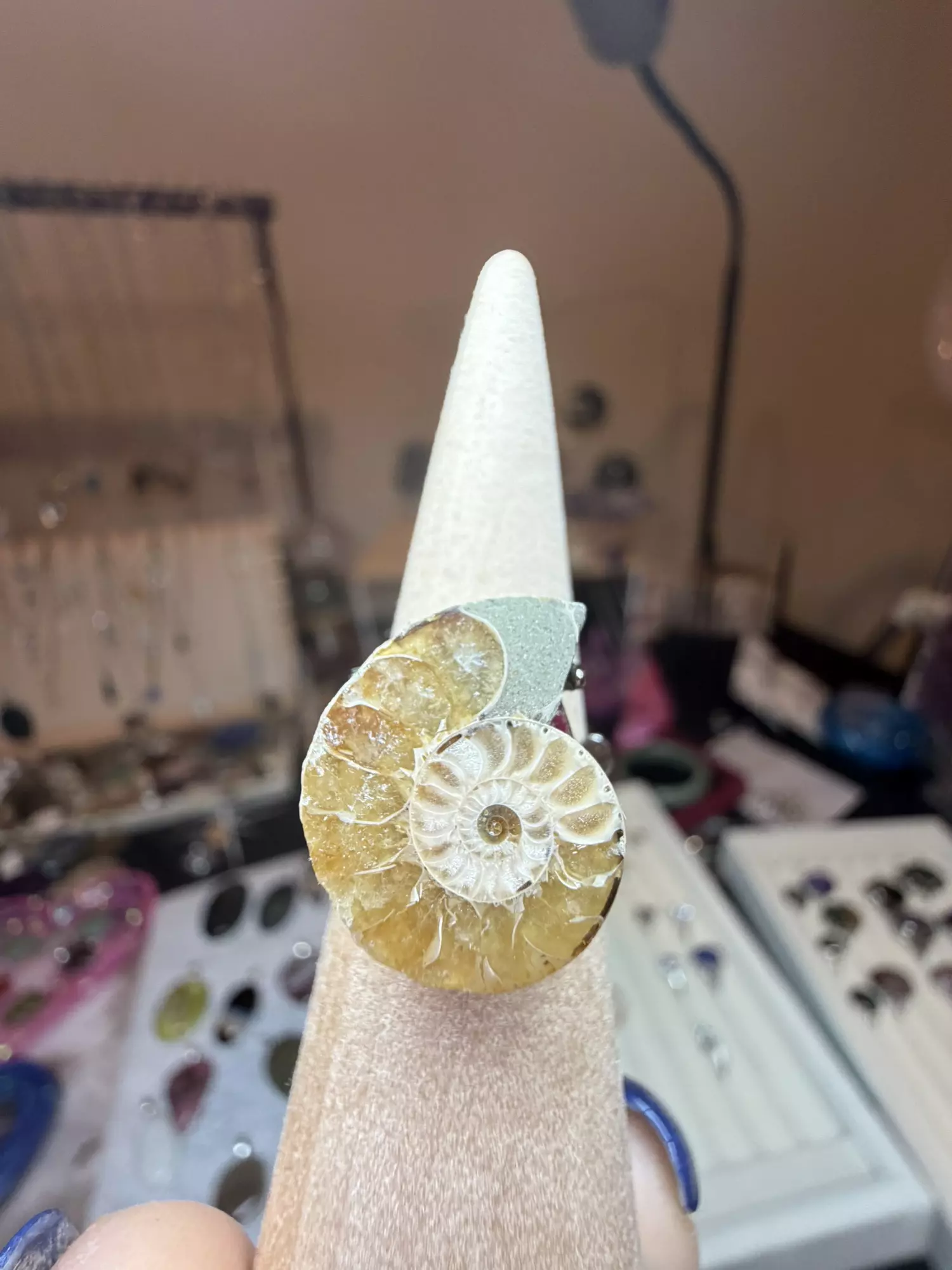 plant/adjustable ammonite ring $18-0