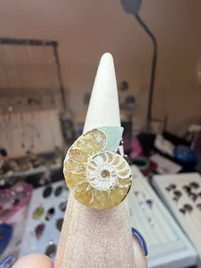 plant/adjustable ammonite ring $18-0-thumbnail