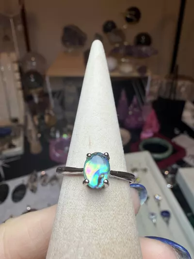 plant/adjustable abalone shell $15-0-thumbnail