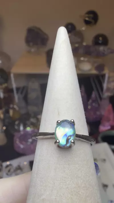 plant/adjustable abalone shell $15-2-thumbnail