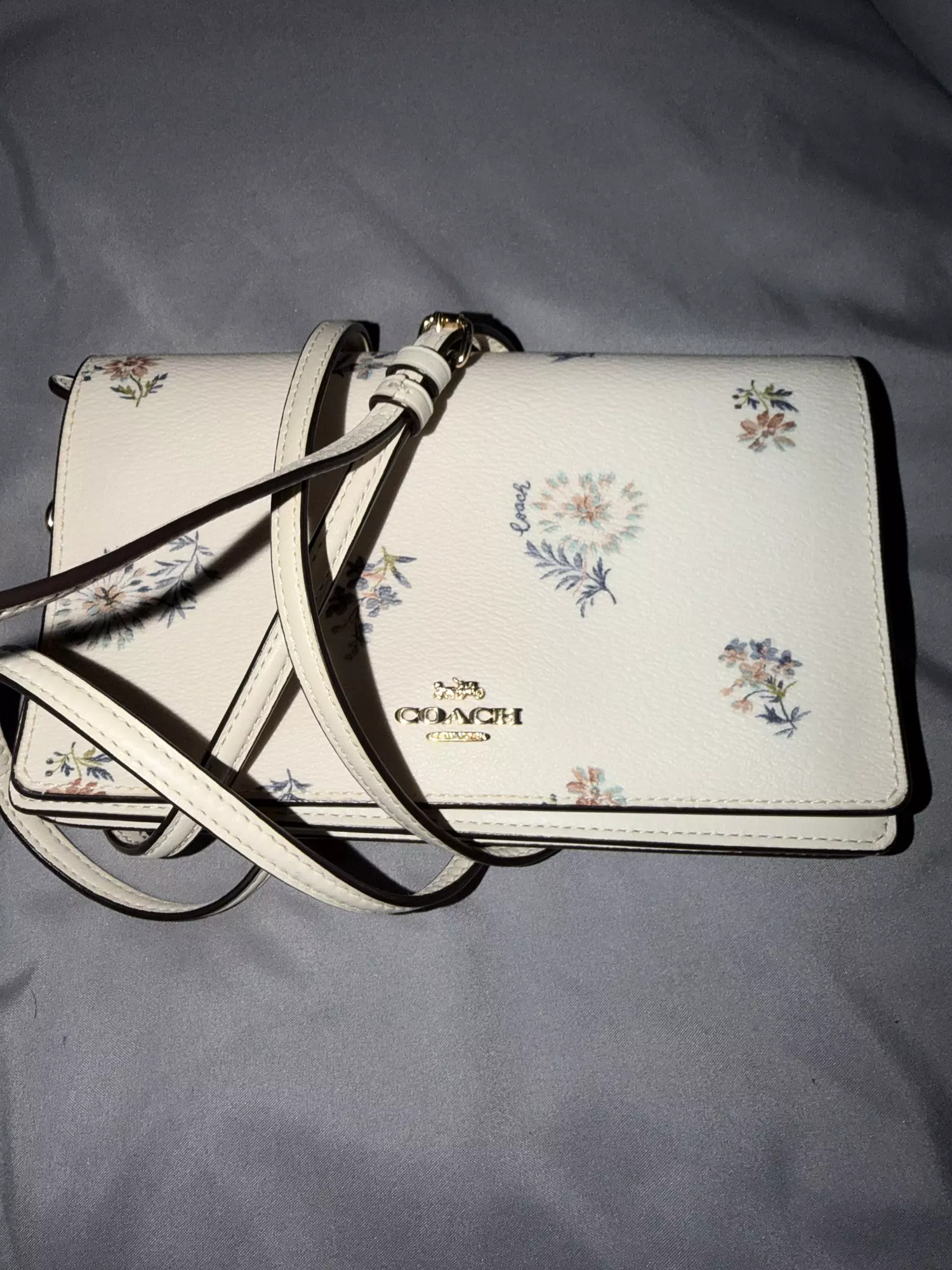 plant/Coach cute bag -0