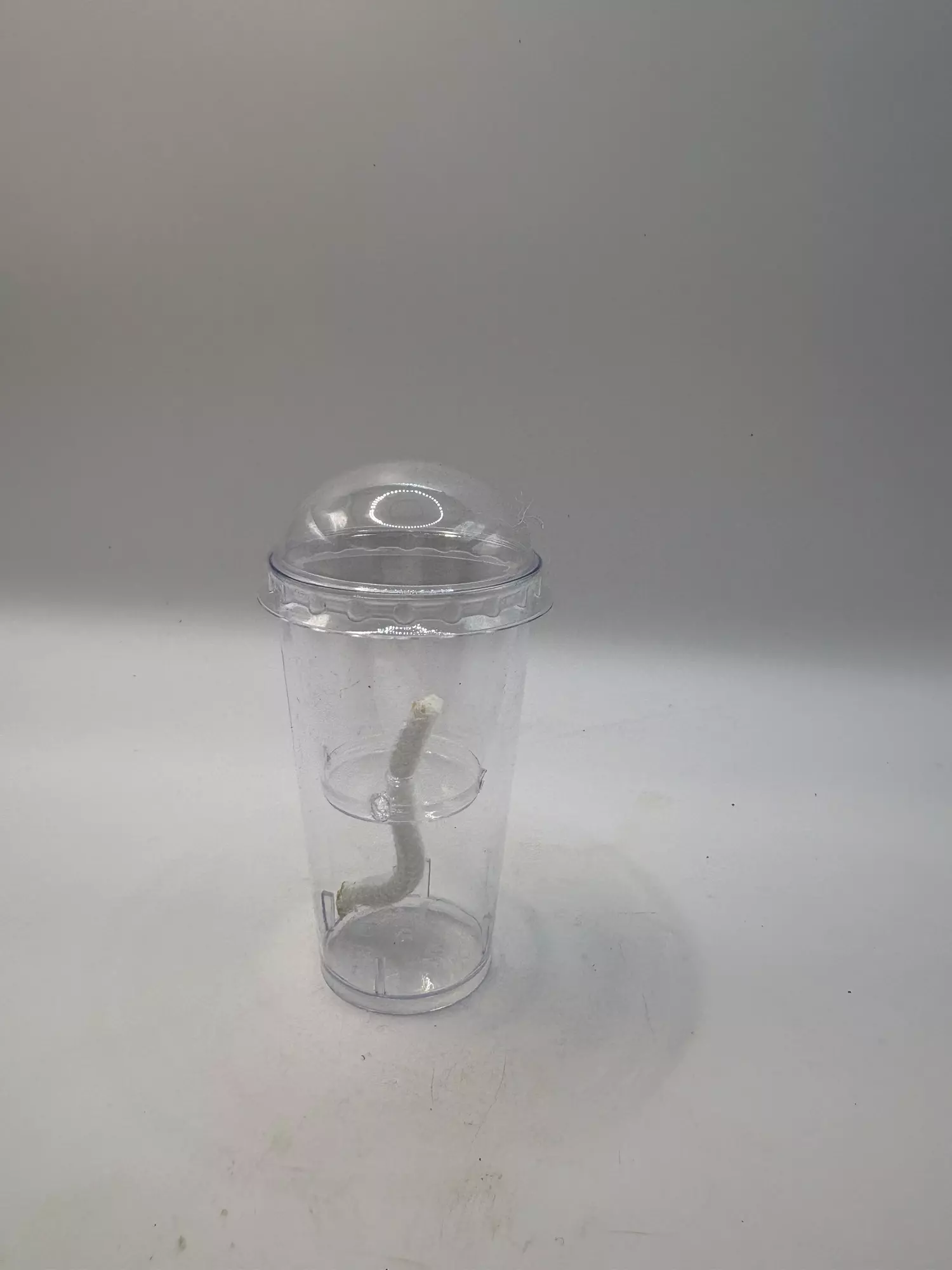 plant/Self watering corm cup (may be different color)-0