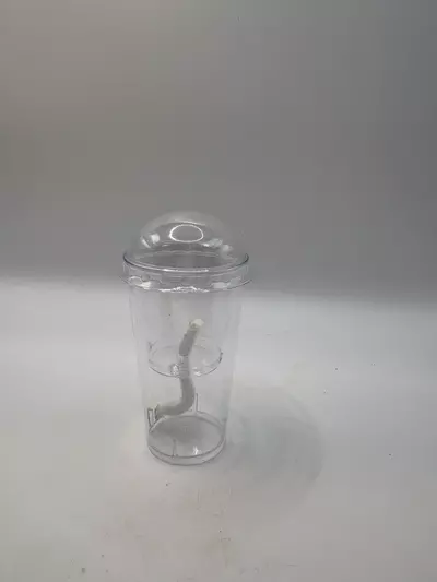 plant/Self watering corm cup (may be different color)-0-thumbnail