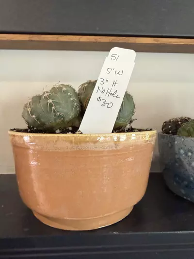 plant/Handmade ceramic planter -0-thumbnail