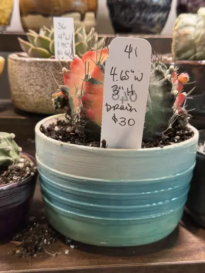 plant/Handmade ceramic planter -0-thumbnail