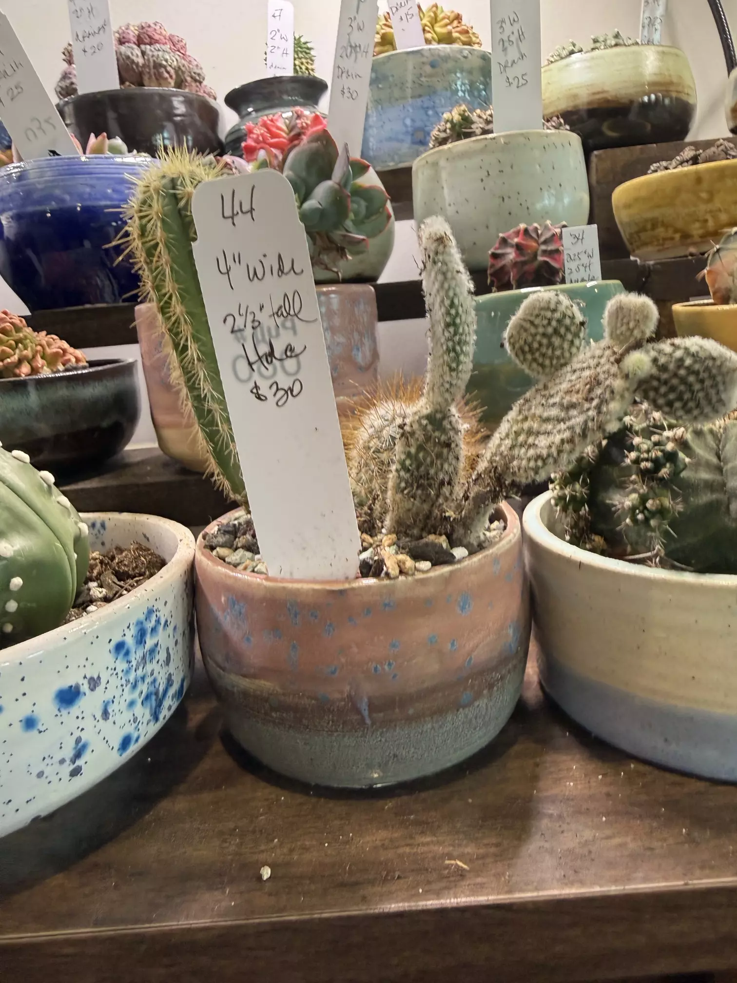 plant/Handmade ceramic planter -0