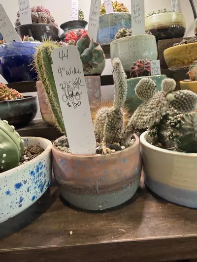 plant/Handmade ceramic planter -0-thumbnail