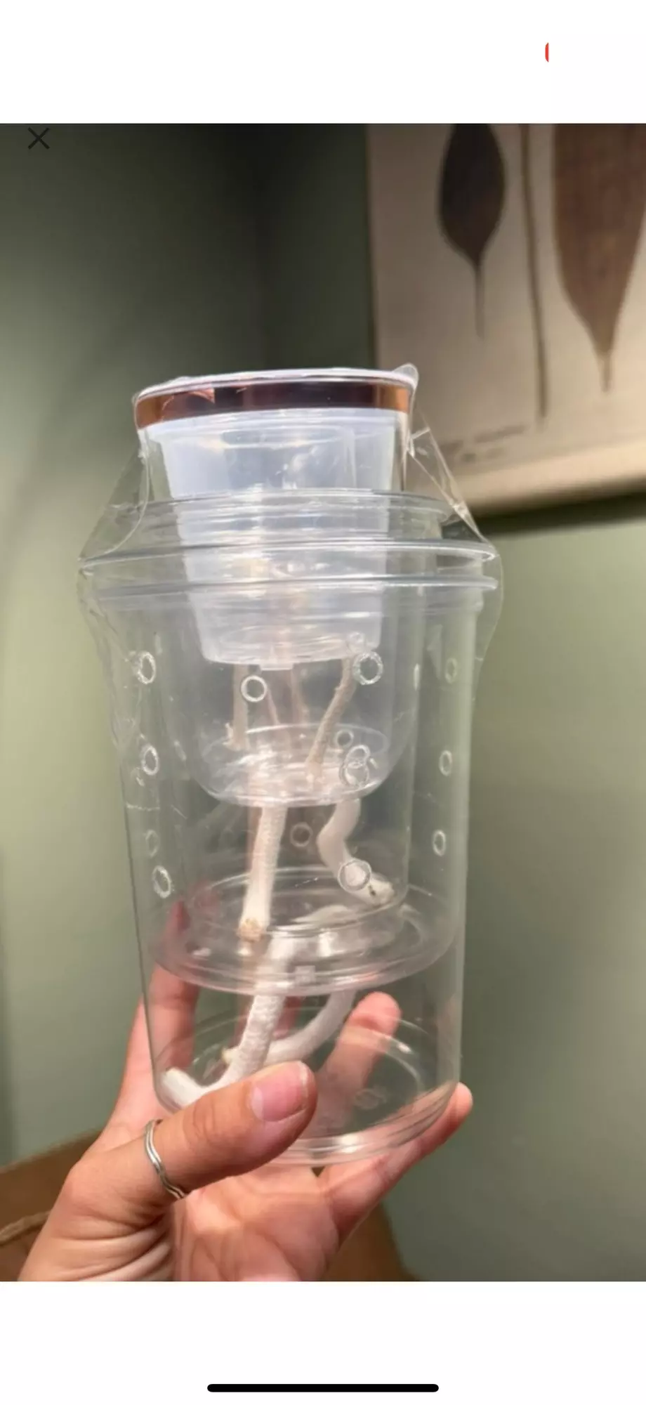 plant/4-pack of self-watering pots-0