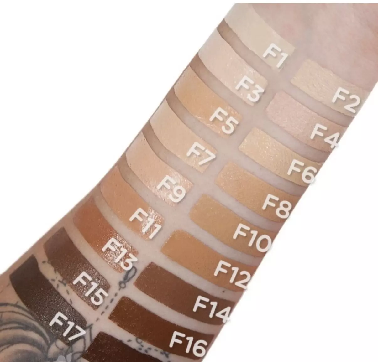 plant/Revolution Fast Base Foundation F6-0