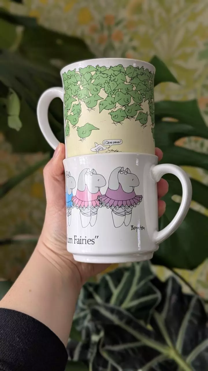 plant/Pair of The Far Side mugs - Juan in a Million and Dance of the Sugarplum Fairies-0