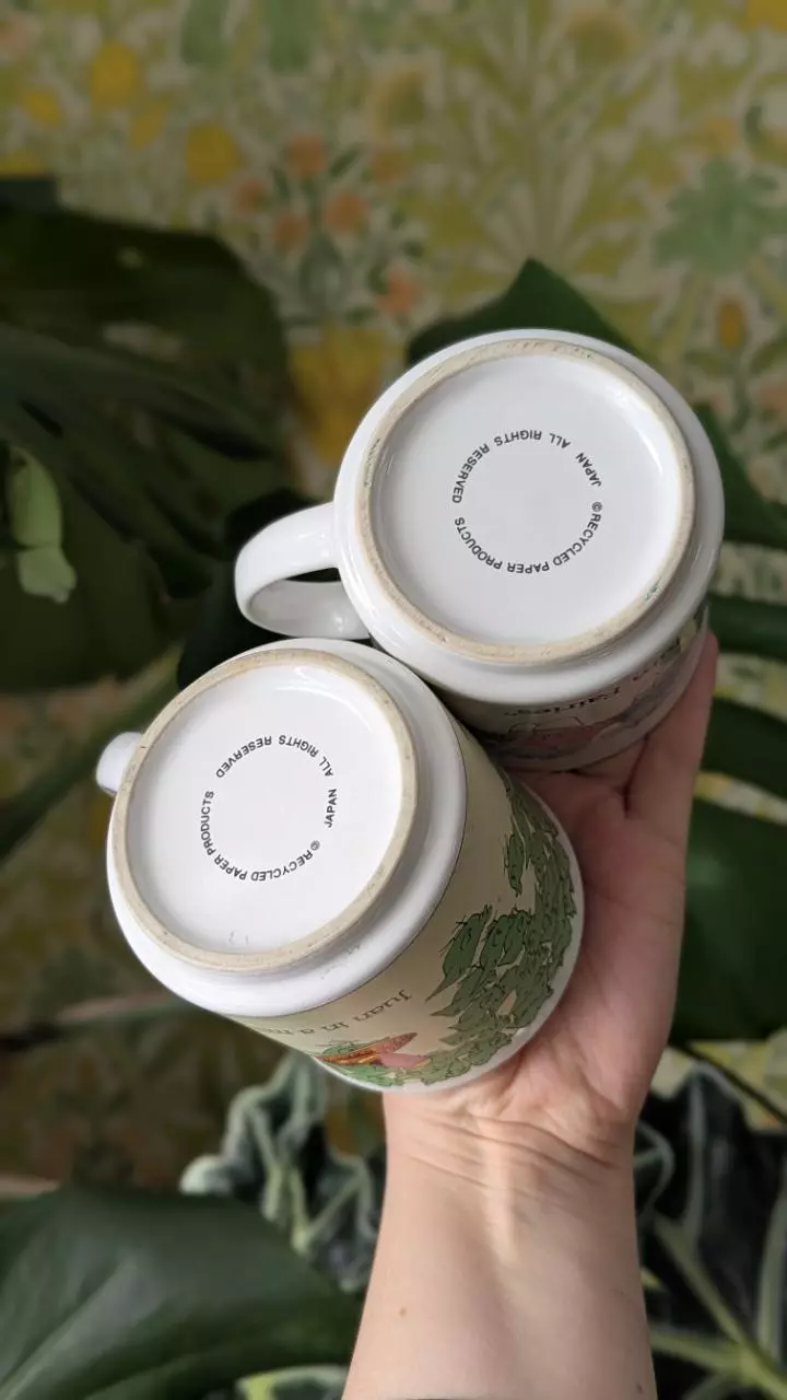 plant/Pair of The Far Side mugs - Juan in a Million and Dance of the Sugarplum Fairies-2