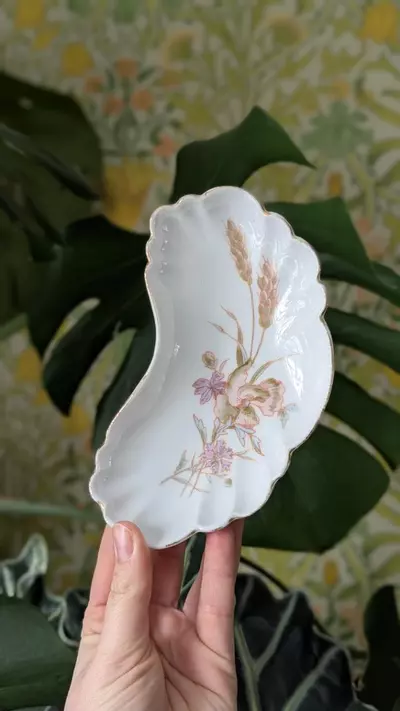 plant/Bone plate, Mark & Gutherz Austria-0-thumbnail