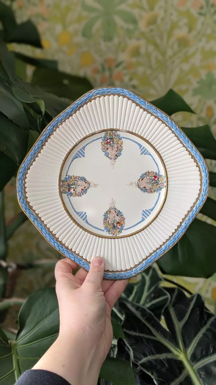 plant/Wedgwood Edme plate - hand painted & signed-1