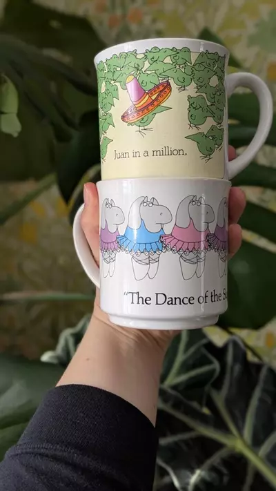 plant/Pair of The Far Side mugs - Juan in a Million and Dance of the Sugarplum Fairies-1-thumbnail