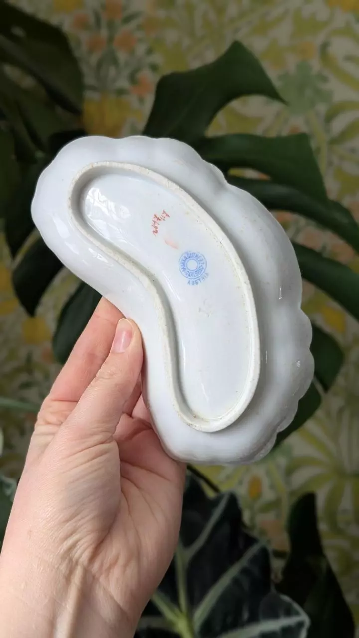 plant/Bone plate, Mark & Gutherz Austria-1