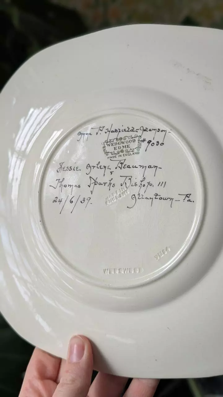 plant/Wedgwood Edme plate - hand painted & signed-2