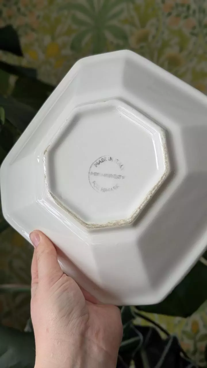 plant/Peaches sponge wear bowl, made in Italy-2