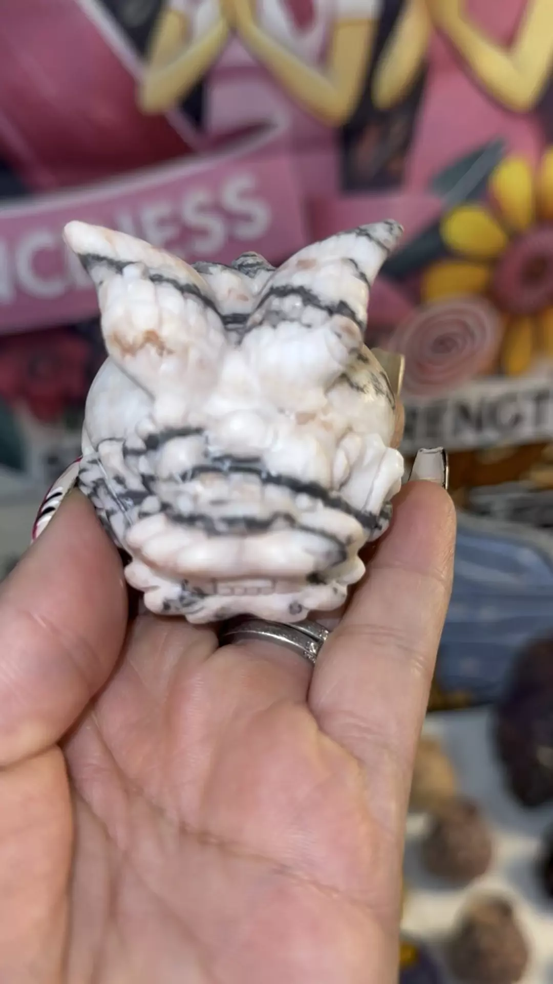 plant/Pink zebra wings-0