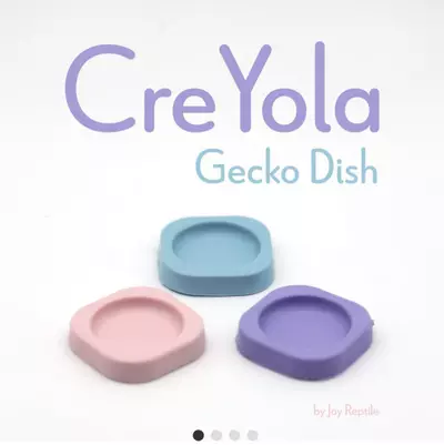 plant/10 for 10$-0-thumbnail