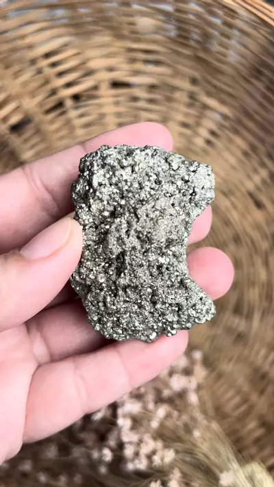 plant/Pyrite cluster #41-0-thumbnail