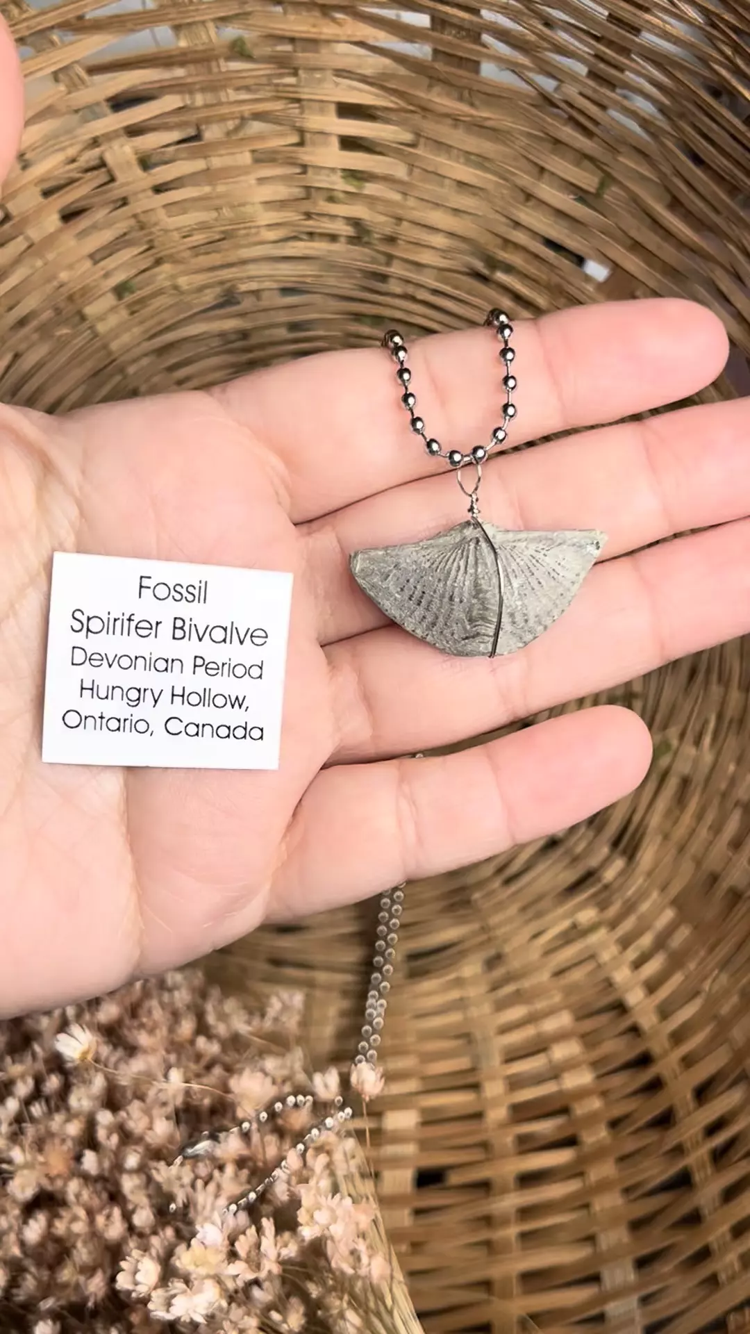 plant/Fossil necklace-0