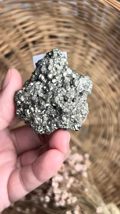 plant/Pyrite cluster #42-0-thumbnail
