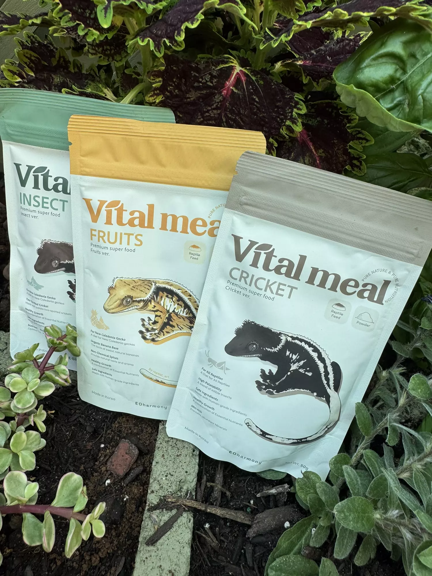 plant/3 pack 50’grams-0