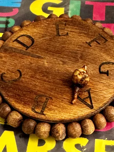 plant/Yucatán Princess Variegated Chunky Corm  -0-thumbnail