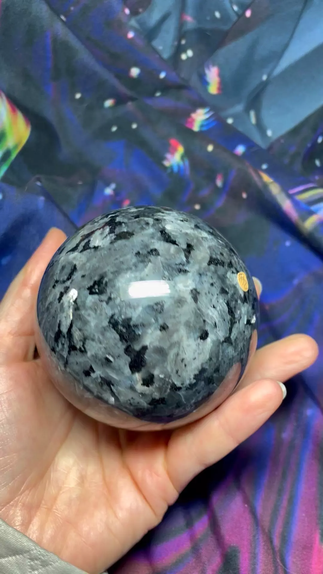 plant/#2 Larvakite sphere -0