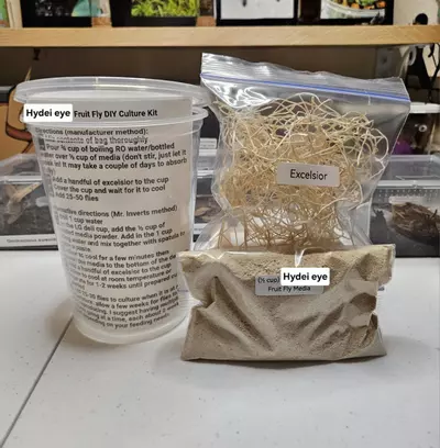 plant/3-PACK Hydei Fruit Fly DIY Culture Kit-0-thumbnail