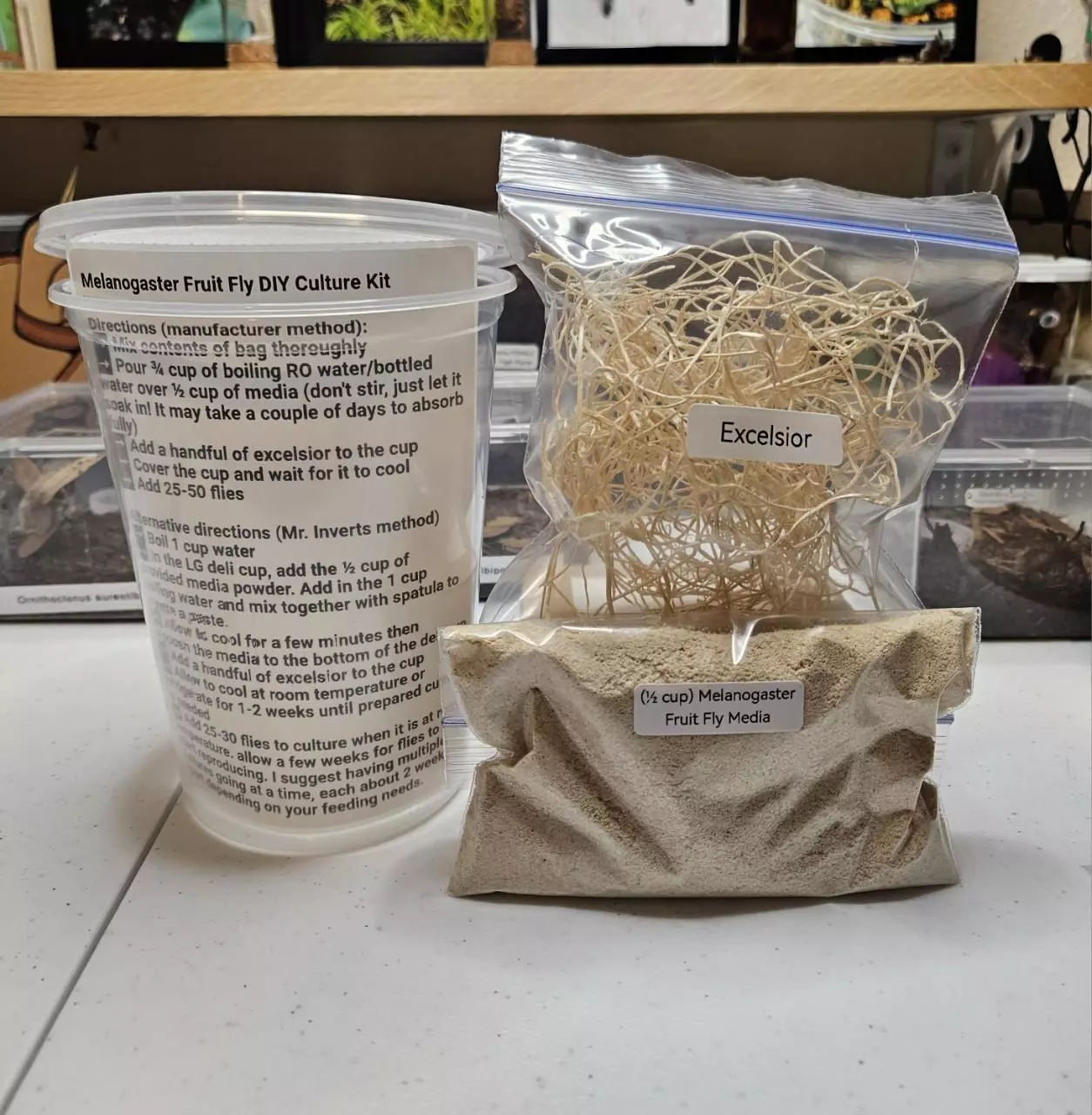 plant/3-PACK Melanogaster Fruit Fly DIY kit-0