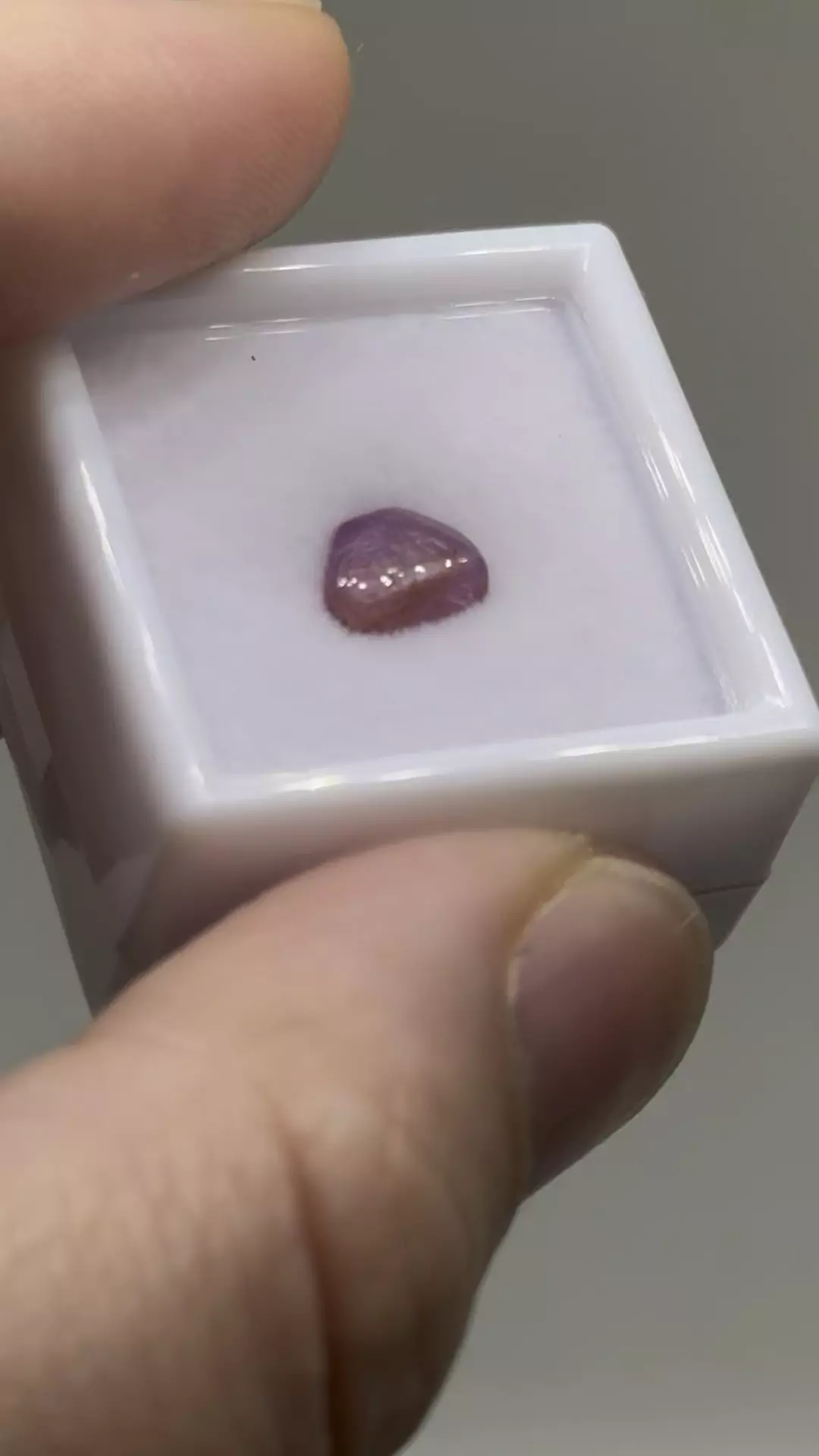 plant/$6| Ruby Polished Cab 1.35 ct #19-0