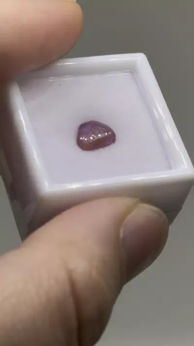 plant/$6| Ruby Polished Cab 1.35 ct #19-0-thumbnail