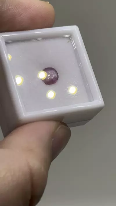 plant/$3| Ruby Polished Cab 0.75 ct #21-0-thumbnail