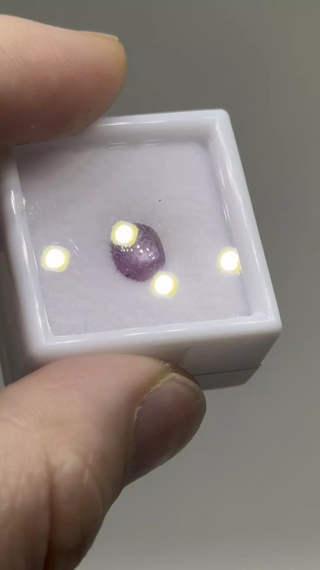 plant/$6| Ruby Polished Cab 1.25 ct #12-0