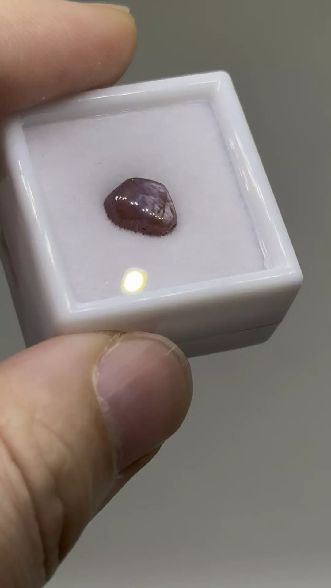 plant/$9| Ruby Polished Cab 2.25 ct #14-0