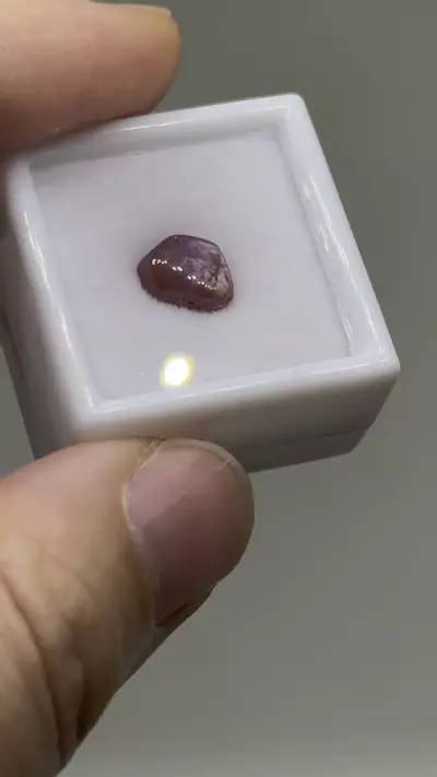 plant/$9| Ruby Polished Cab 2.25 ct #14-0-thumbnail